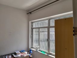 https://img.olx.com.br/thumbs256x256/36/364540746102726.jpg