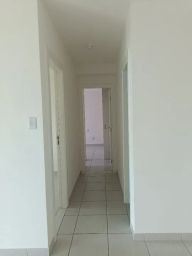 https://img.olx.com.br/thumbs256x256/36/364552149904144.jpg