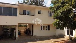 https://img.olx.com.br/thumbs256x256/36/364554165787536.jpg