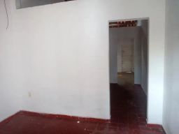 https://img.olx.com.br/thumbs256x256/36/364578646628573.jpg