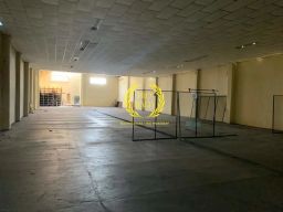 https://img.olx.com.br/thumbs256x256/36/364635191794159.jpg
