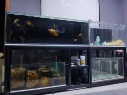 Título do anúncio: Vendo aquário projeto de 250cm sobmedida