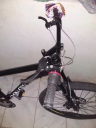 https://img.olx.com.br/thumbs256x256/36/365450224637888.jpg