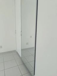 https://img.olx.com.br/thumbs256x256/36/365504389493411.jpg