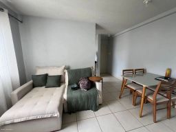 https://img.olx.com.br/thumbs256x256/36/365509031091661.jpg
