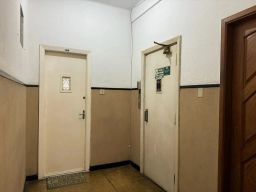https://img.olx.com.br/thumbs256x256/36/365517754917823.jpg