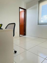 https://img.olx.com.br/thumbs256x256/36/365535403041976.jpg