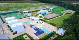 https://img.olx.com.br/thumbs256x256/36/365541160985387.jpg