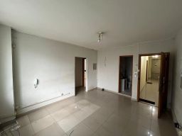https://img.olx.com.br/thumbs256x256/36/365542523195952.jpg