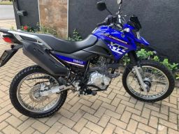 https://img.olx.com.br/thumbs256x256/36/365554889589786.jpg