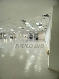 https://img.olx.com.br/thumbs256x256/36/365576643157192.jpg