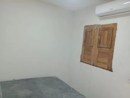 https://img.olx.com.br/thumbs256x256/36/365578628583738.jpg