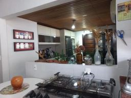 https://img.olx.com.br/thumbs256x256/36/365583282766427.jpg