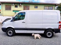 https://img.olx.com.br/thumbs256x256/36/365640774149339.jpg