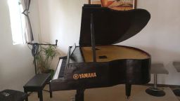 https://img.olx.com.br/thumbs256x256/36/366461783863903.jpg