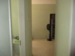 https://img.olx.com.br/thumbs256x256/36/366510749691194.jpg