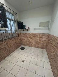 https://img.olx.com.br/thumbs256x256/36/366527883948107.jpg