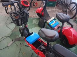 https://img.olx.com.br/thumbs256x256/36/366589253305812.jpg