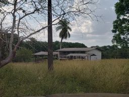 https://img.olx.com.br/thumbs256x256/36/367401725814187.jpg