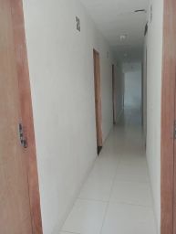 https://img.olx.com.br/thumbs256x256/36/367578504164711.jpg