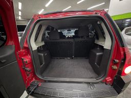 https://img.olx.com.br/thumbs256x256/36/367625407457267.jpg