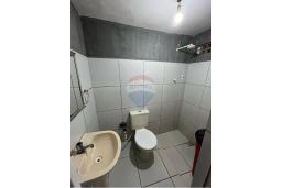 https://img.olx.com.br/thumbs256x256/36/368544392244137.jpg