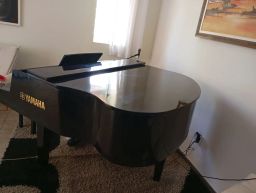 https://img.olx.com.br/thumbs256x256/36/368545366402798.jpg
