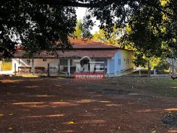 https://img.olx.com.br/thumbs256x256/36/368666065937344.jpg