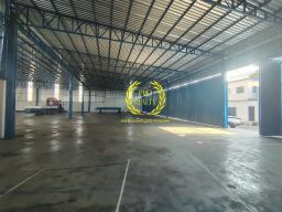 https://img.olx.com.br/thumbs256x256/36/368678093649508.jpg