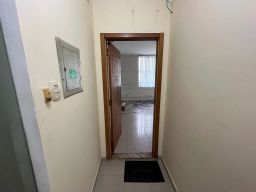 https://img.olx.com.br/thumbs256x256/36/369544163112950.jpg