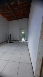 https://img.olx.com.br/thumbs256x256/36/369544868406167.jpg