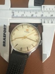 https://img.olx.com.br/thumbs256x256/36/369640071441550.jpg