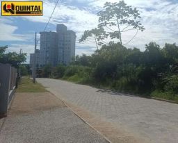 https://img.olx.com.br/thumbs256x256/37/371579399327267.jpg
