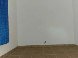 https://img.olx.com.br/thumbs256x256/37/372538639411367.jpg