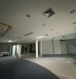 https://img.olx.com.br/thumbs256x256/37/372667671543150.jpg