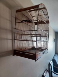 https://img.olx.com.br/thumbs256x256/37/374548401304937.jpg