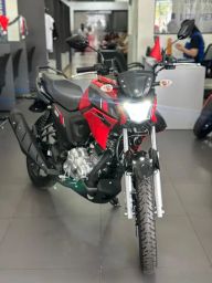 https://img.olx.com.br/thumbs256x256/37/375529613305846.jpg