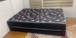 https://img.olx.com.br/thumbs256x256/37/376508122627520.jpg
