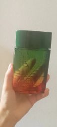 https://img.olx.com.br/thumbs256x256/37/376558518411629.jpg