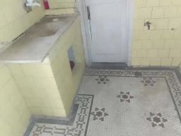 https://img.olx.com.br/thumbs256x256/37/377534635450036.jpg