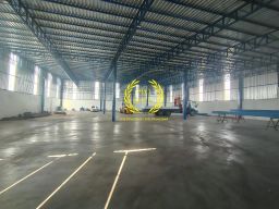 https://img.olx.com.br/thumbs256x256/37/377694096934444.jpg