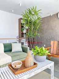 https://img.olx.com.br/thumbs256x256/37/379522390049285.jpg
