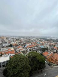 https://img.olx.com.br/thumbs256x256/38/380546152429784.jpg