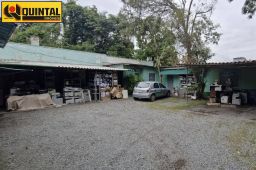 https://img.olx.com.br/thumbs256x256/38/381535285087789.jpg