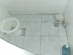 https://img.olx.com.br/thumbs256x256/38/382503622301817.jpg
