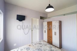 https://img.olx.com.br/thumbs256x256/38/382550284757219.jpg