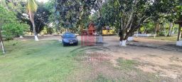 https://img.olx.com.br/thumbs256x256/38/382613318486195.jpg