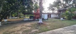 https://img.olx.com.br/thumbs256x256/38/382619557986934.jpg