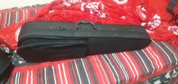 https://img.olx.com.br/thumbs256x256/38/383410323286471.jpg