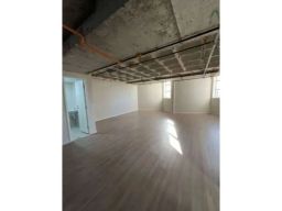 https://img.olx.com.br/thumbs256x256/38/383573766551376.jpg
